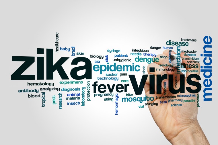 malaria vaccination for brazil
