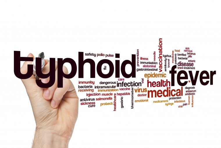 typhoid vaccination icon